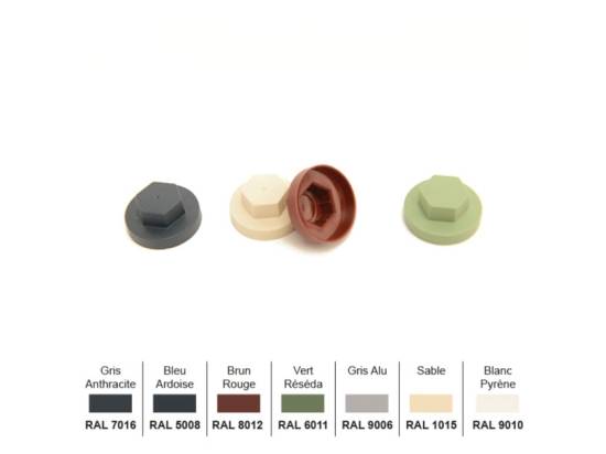 Boite de 100 capuchons seuls pour vis  - Couleurs