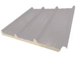 Panneau Sandwich de Toiture  isolant RAL 9006