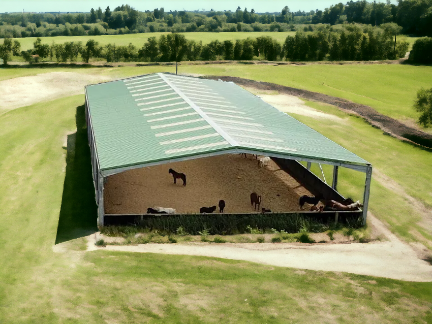 activité-equestre-1000-m-2