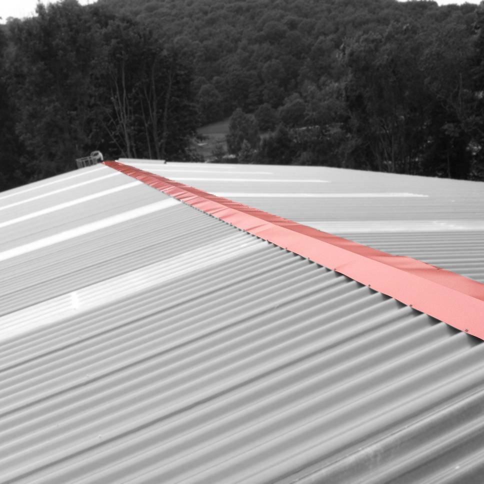 faitiere de toit plate extra large posee