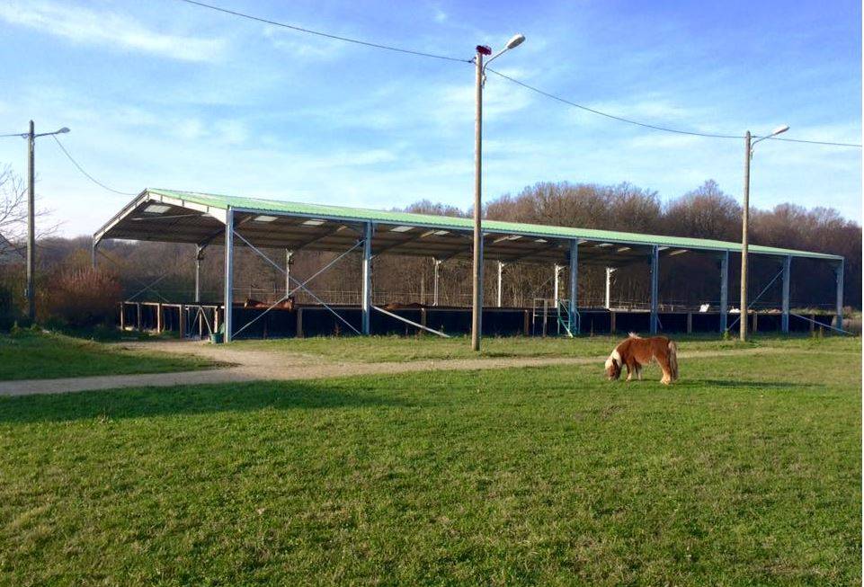 Manège-équestre-en-kit-865m-2-en-kit