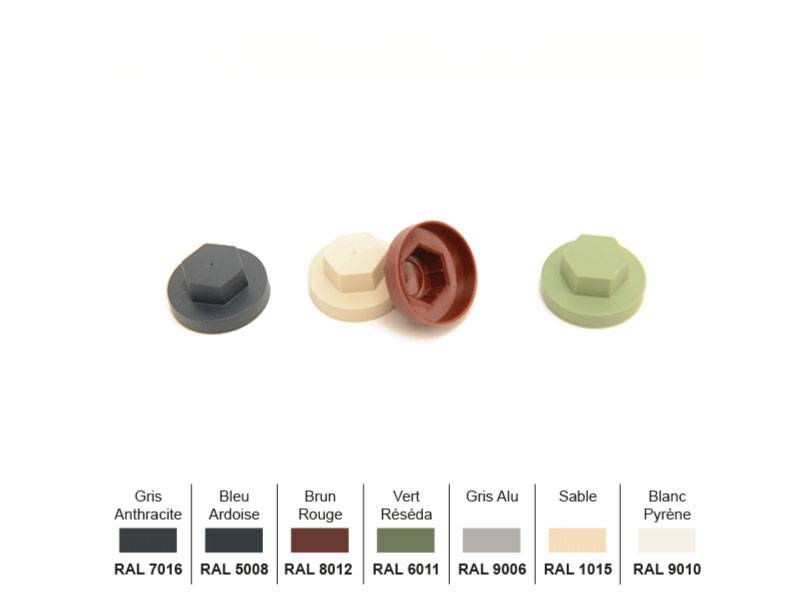 Boite de 100 capuchons seuls pour vis  - Couleurs