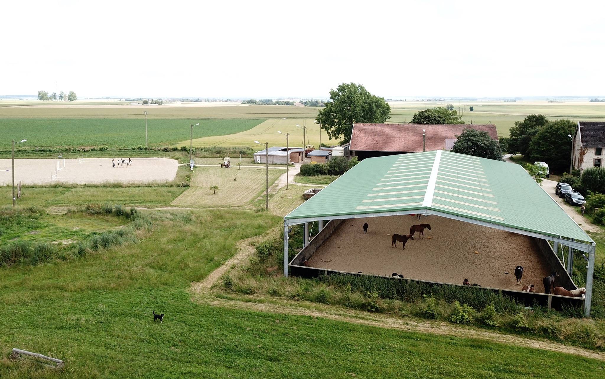 MRS. Louis' testimony - equestrian building in France