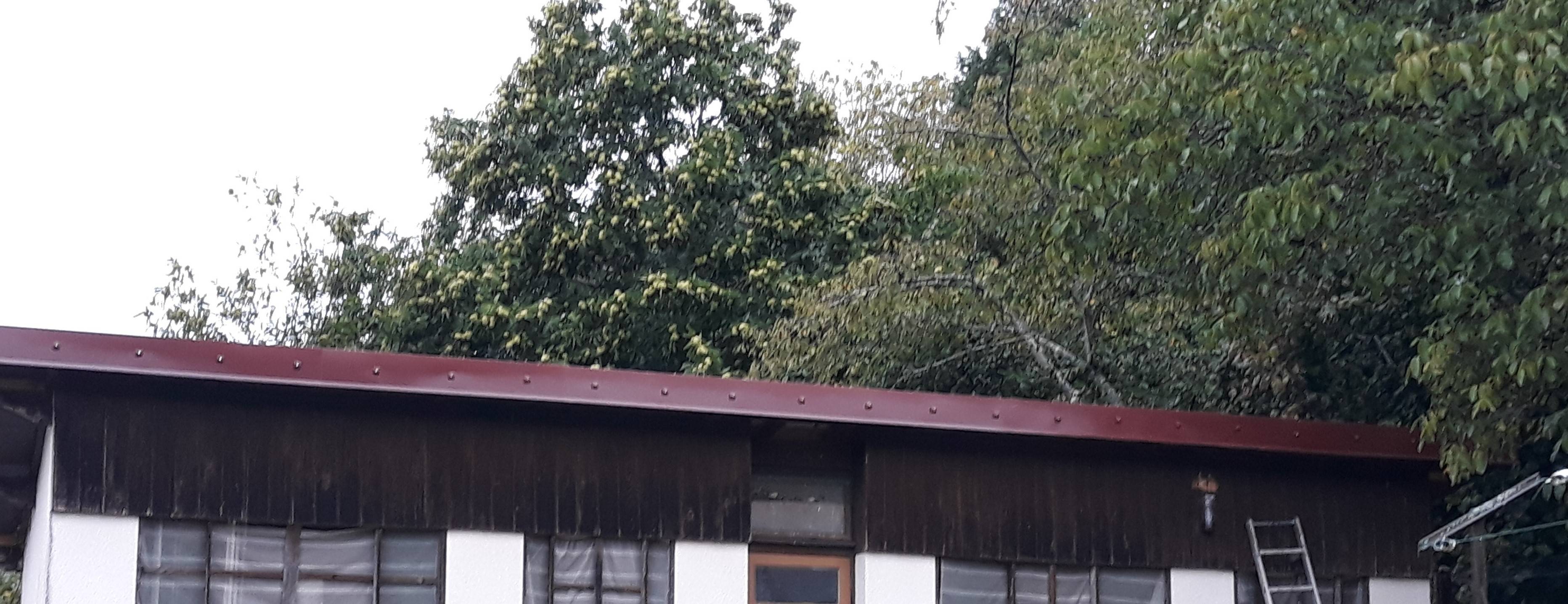 Toiture rouge en bac acier à Saint Goussaud