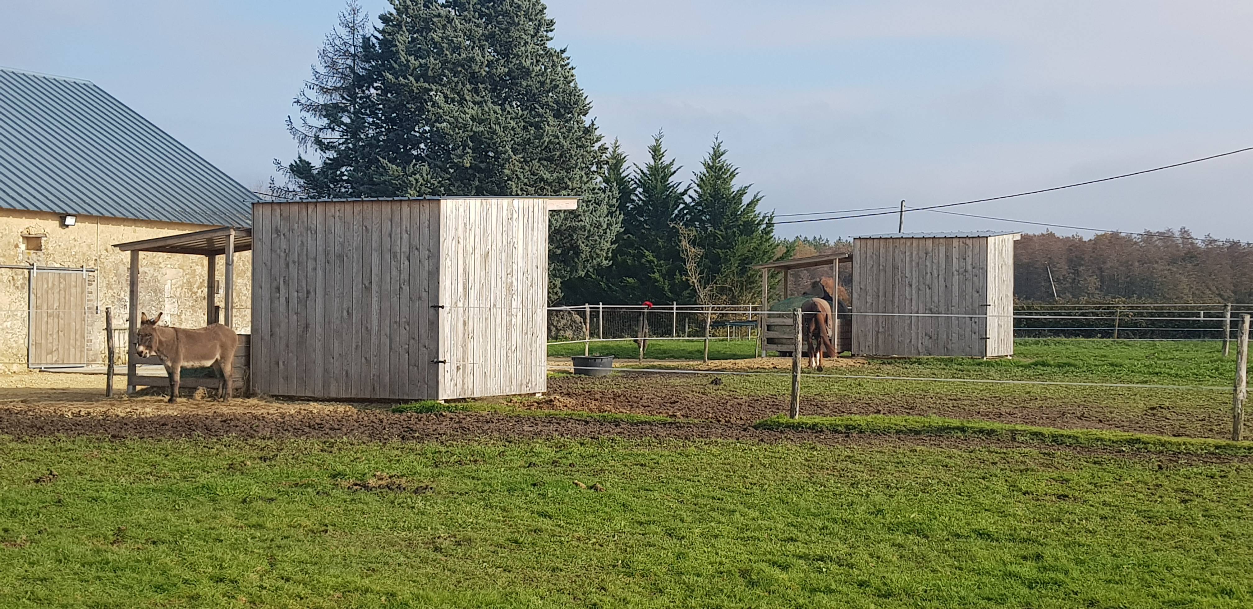 Toiture métallique à Courcelles (37) : projet équestre de M. Rozet