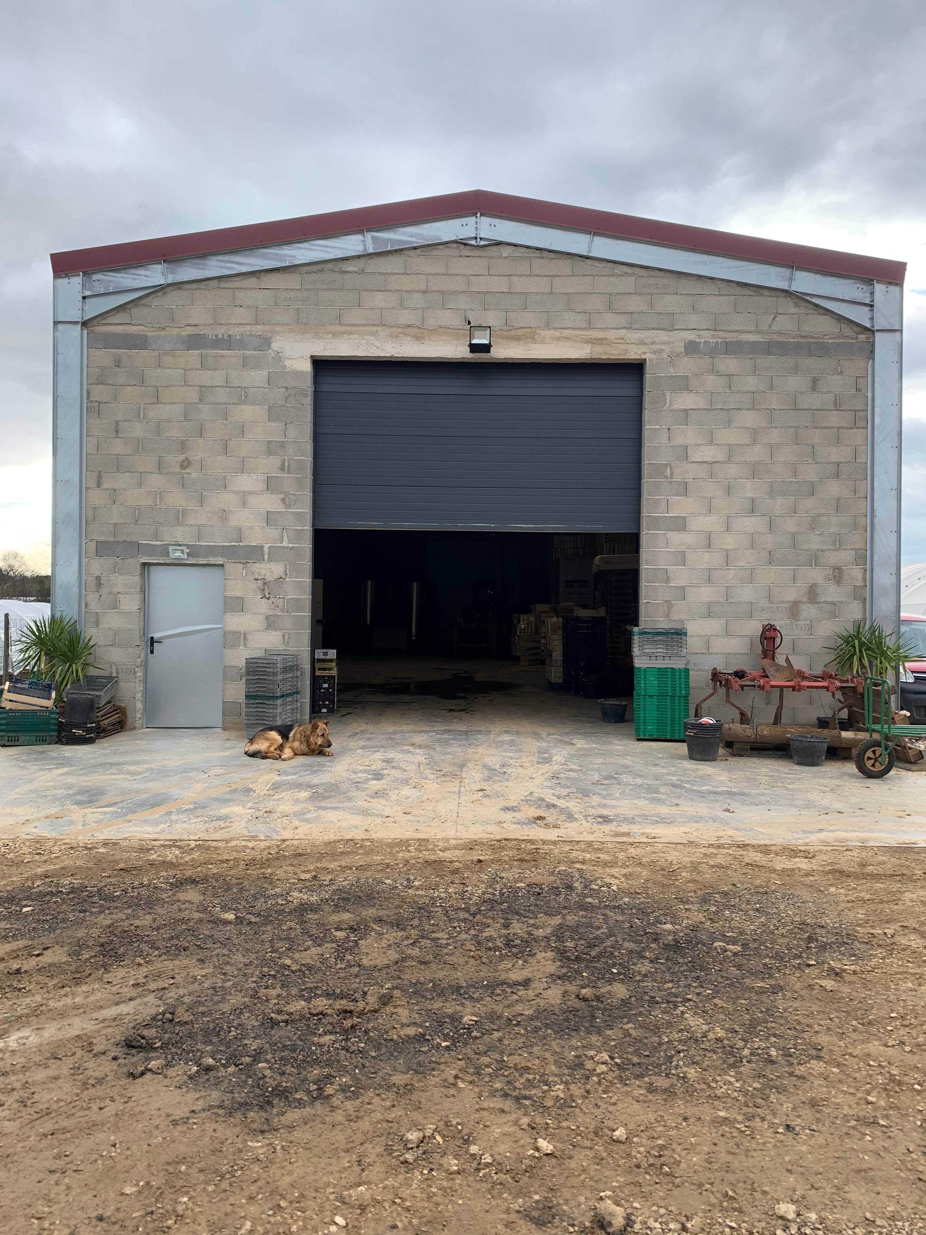 MR. Lopes' testimony - storage and packaging building in France