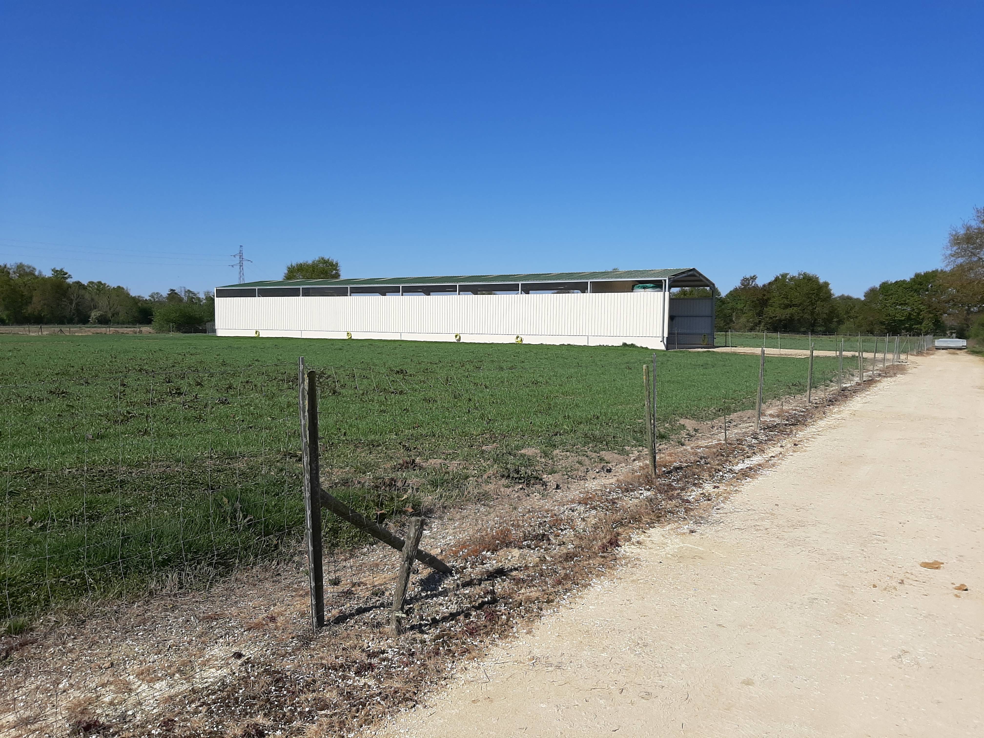 MR. Vignolle's testimony - agricultural building in France