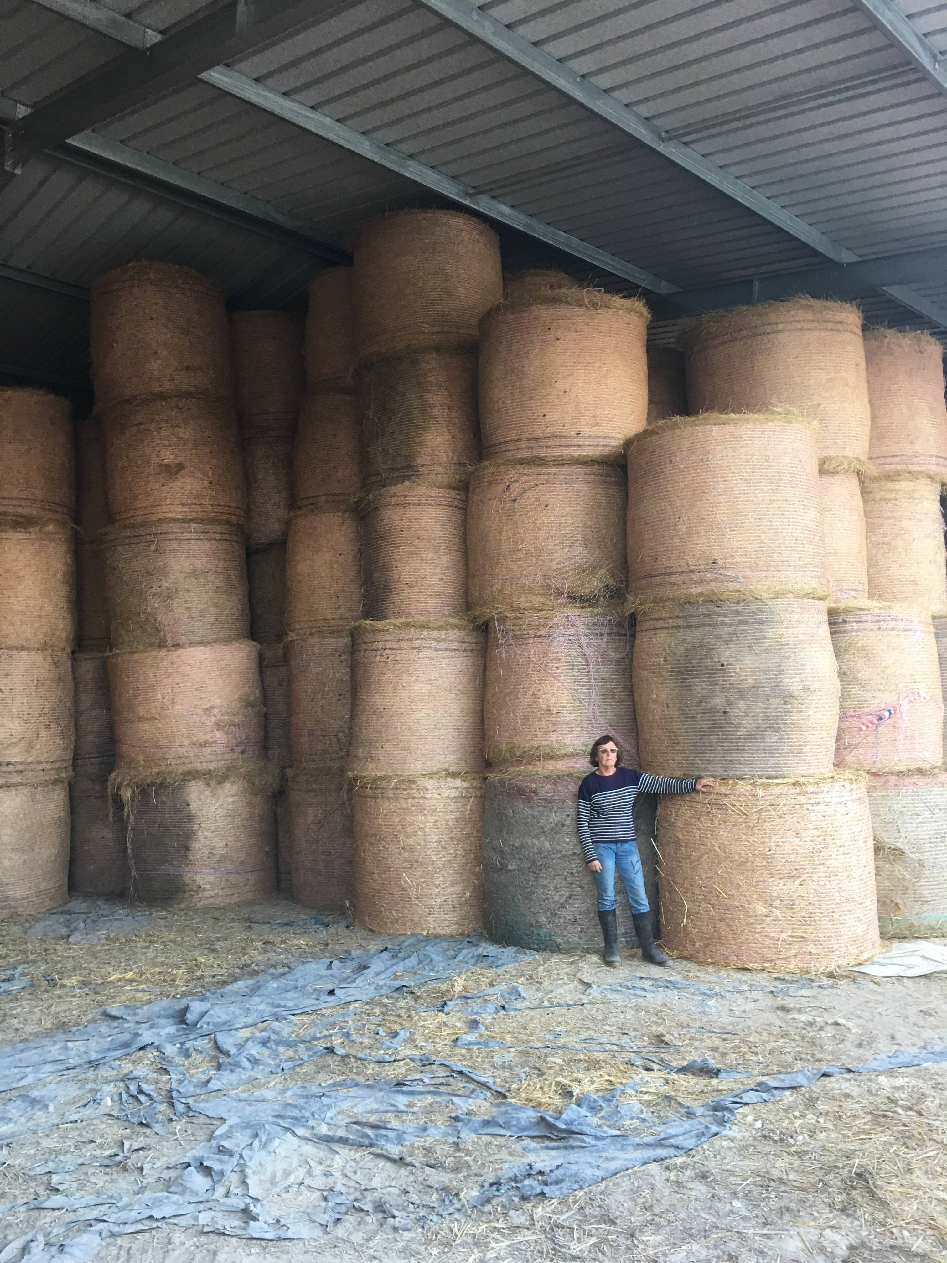 batiment-agricole-janvier-41