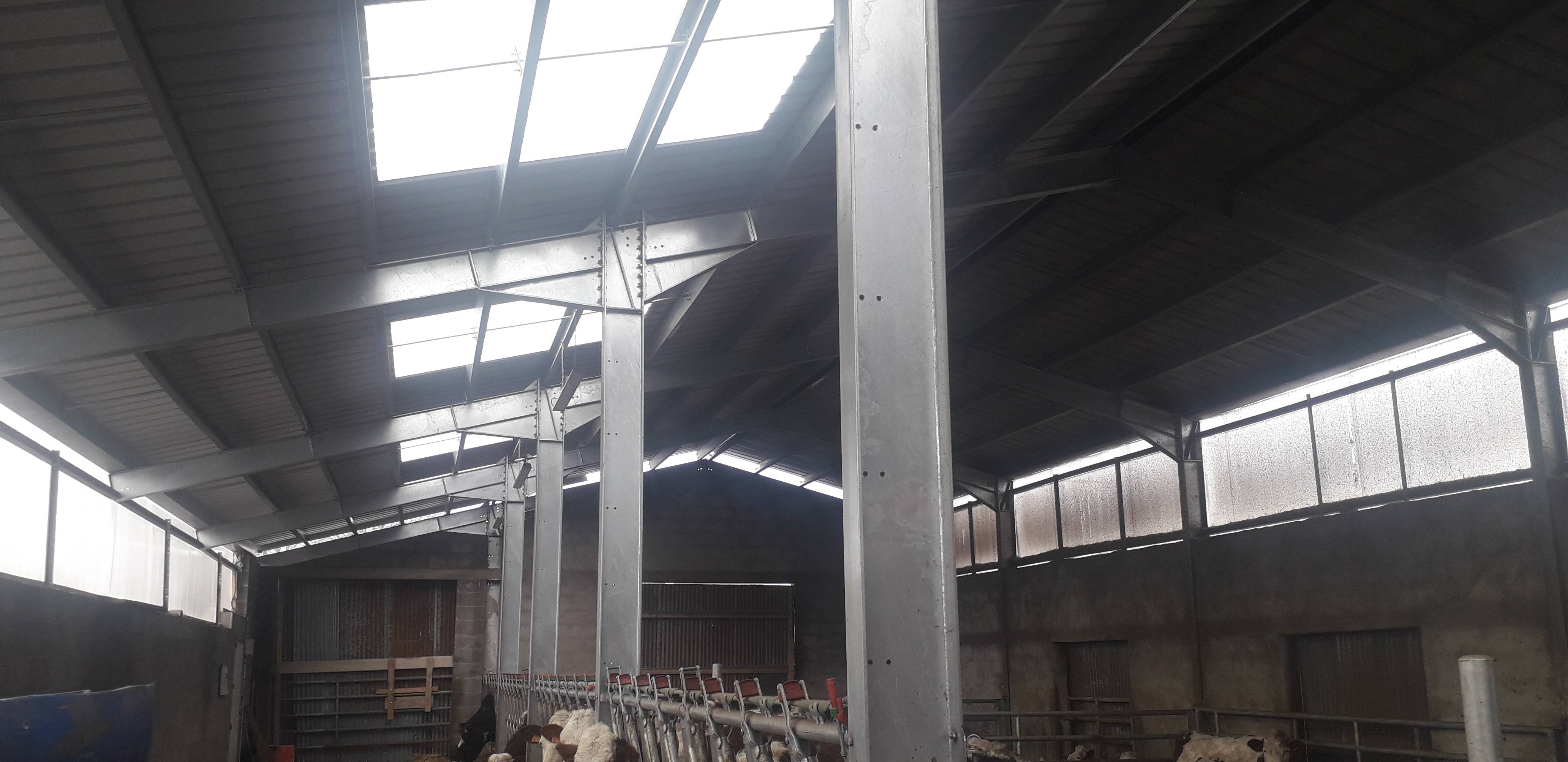MR. Roche - stall building for cattle