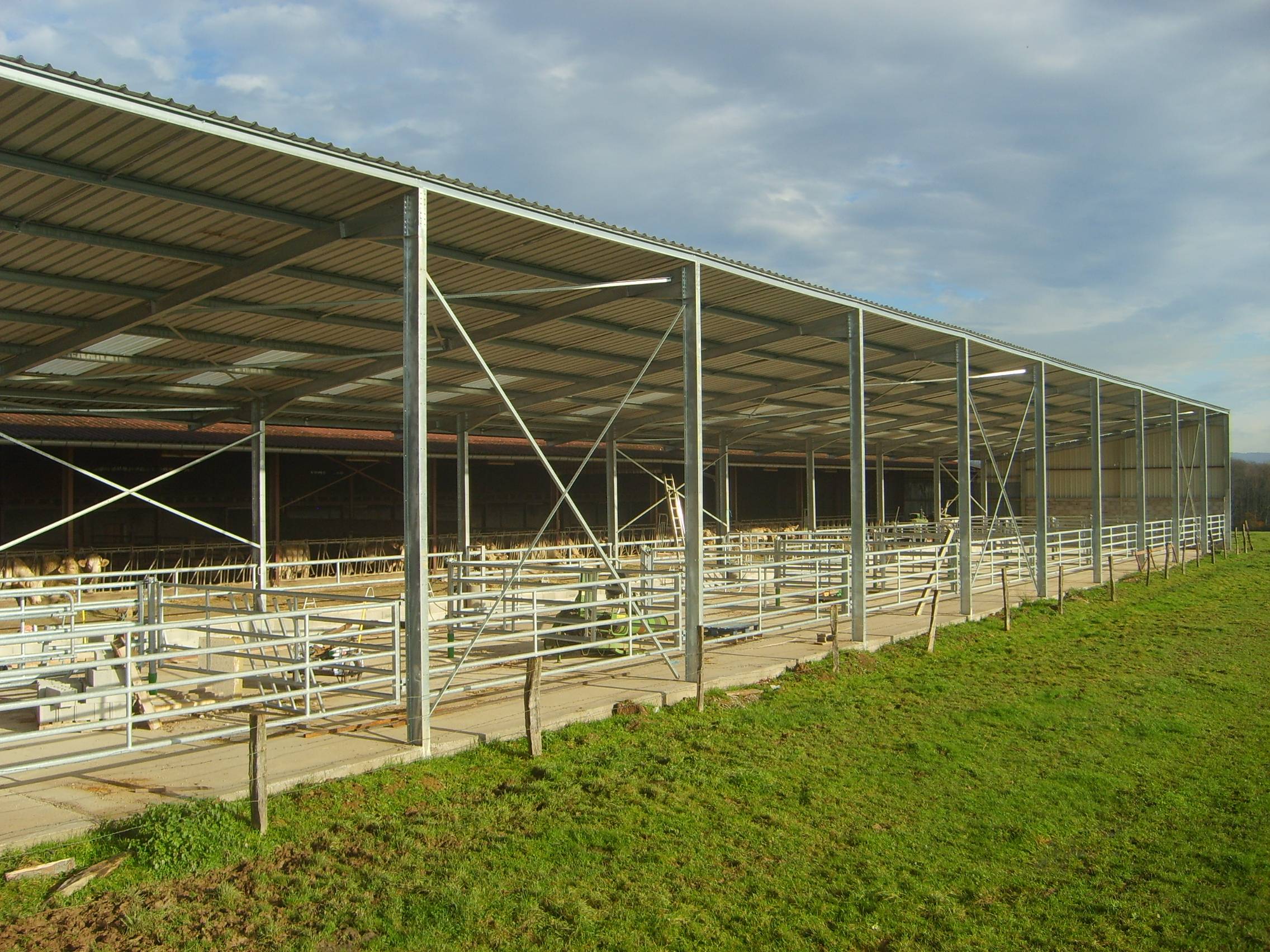 quelle-surface-en-m-2-par-vache-laitiere