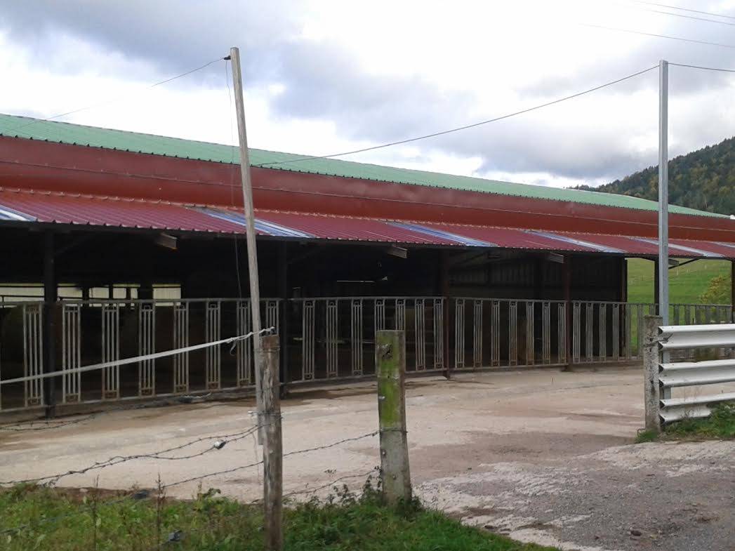 MR. Bresson's testimony - equestrian building in France
