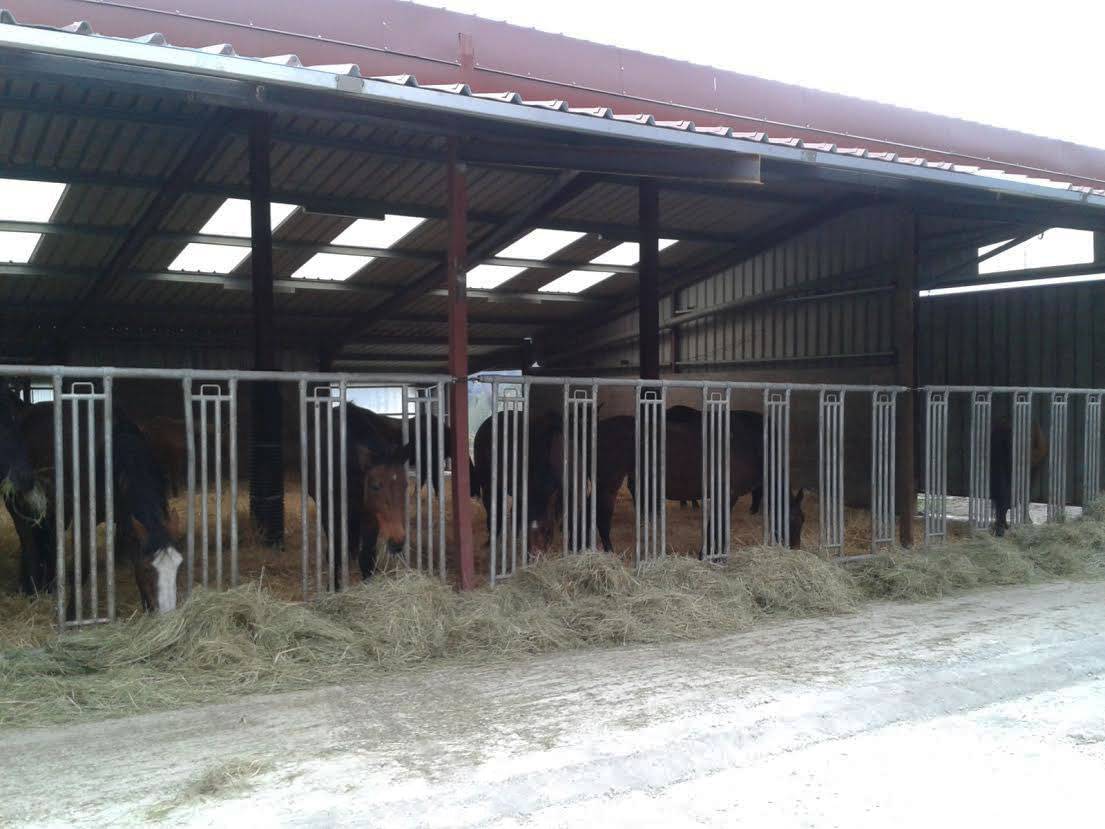 MR. Bresson's testimony - equestrian building in France
