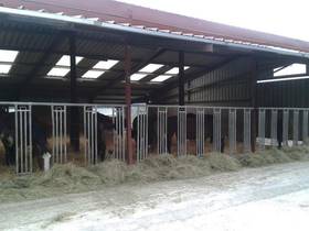 MR. Bresson's testimony - equestrian building in France MR. Bresson's testimony - equestrian building in France