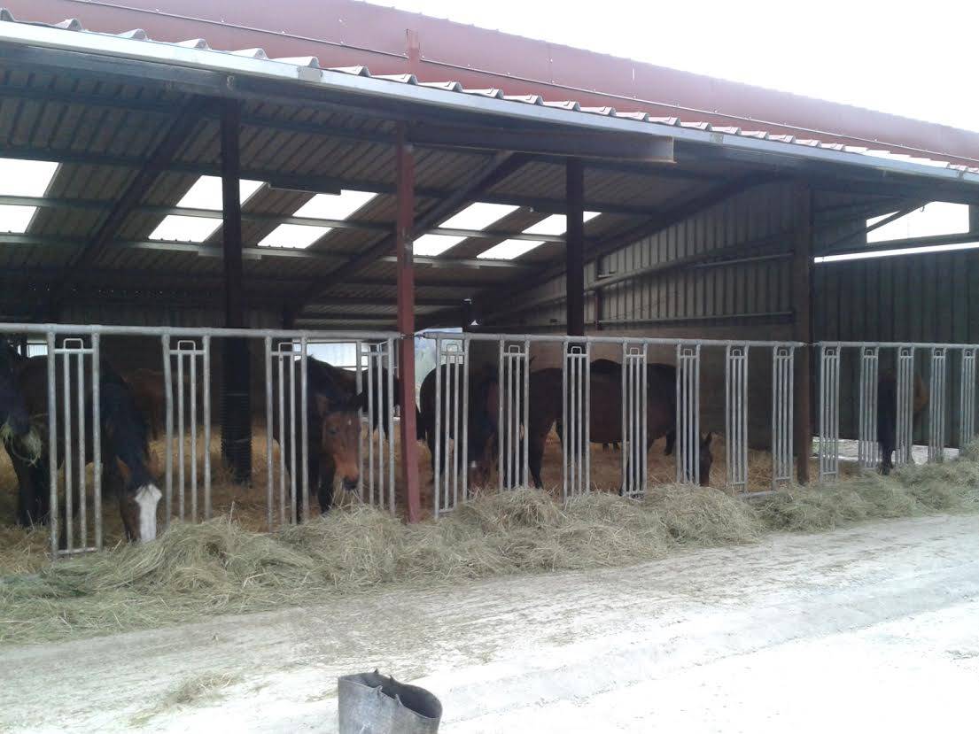 MR. Bresson's testimony - equestrian building in France