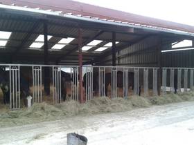 MR. Bresson's testimony - equestrian building in France MR. Bresson's testimony - equestrian building in France