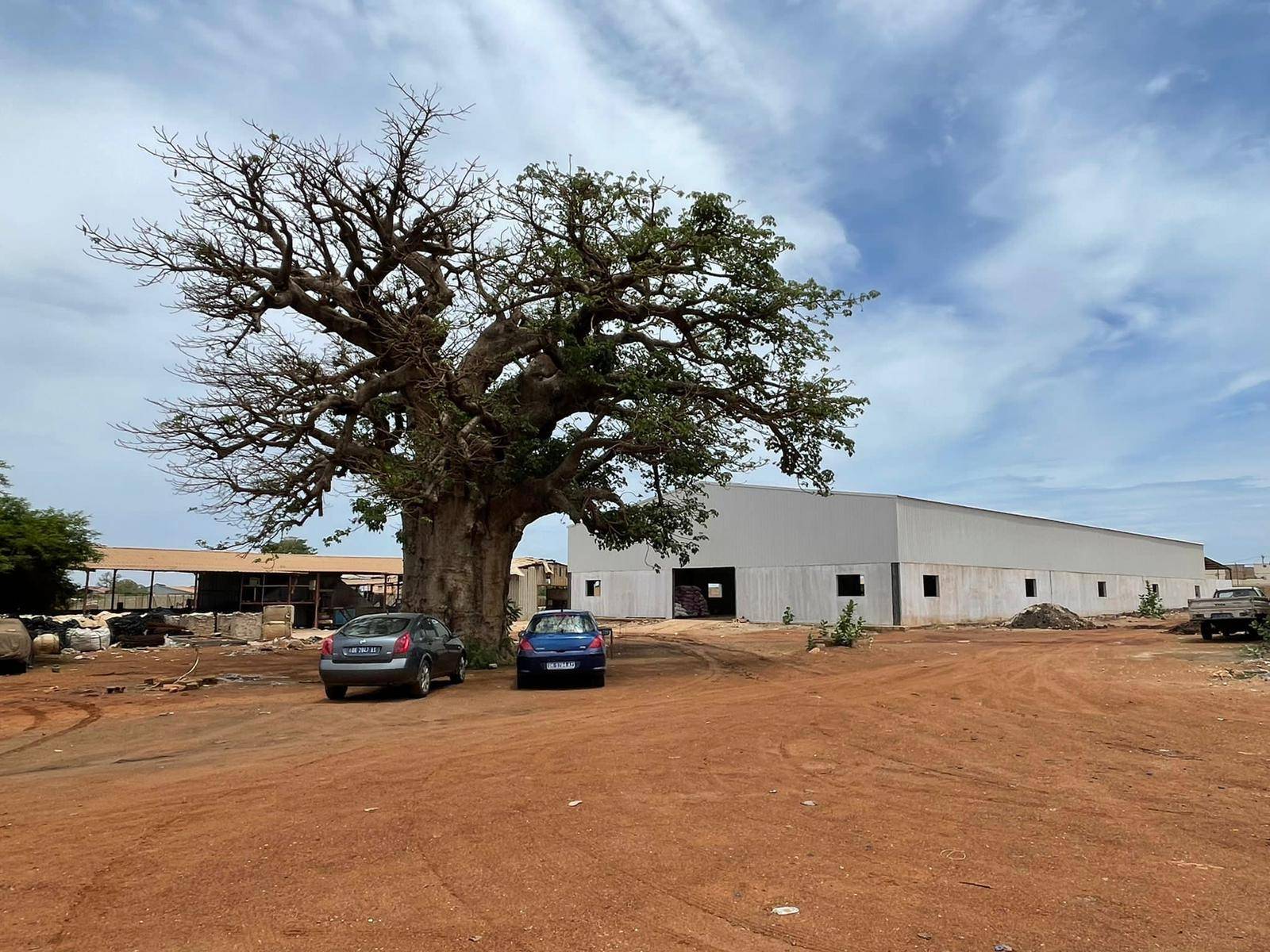 Hangar Industriel à Saint Louis vue extérieure