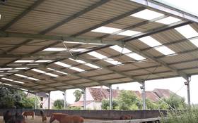 MRS. Louis' testimony - equestrian building in France MRS. Louis' testimony - equestrian building in France