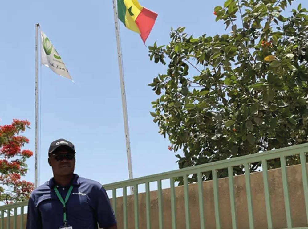 Ils nous ont choisi !