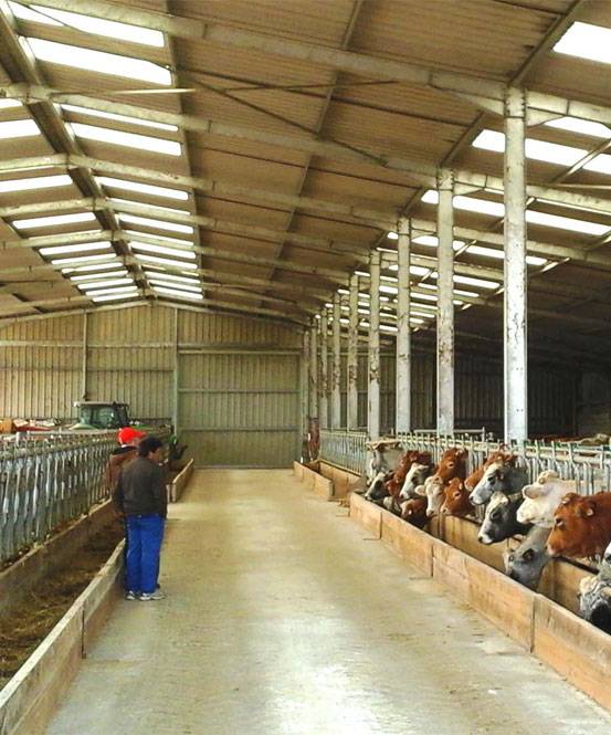 Hangar métallique cue intérieure